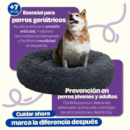 Cama Ortopédica Anti Estrés