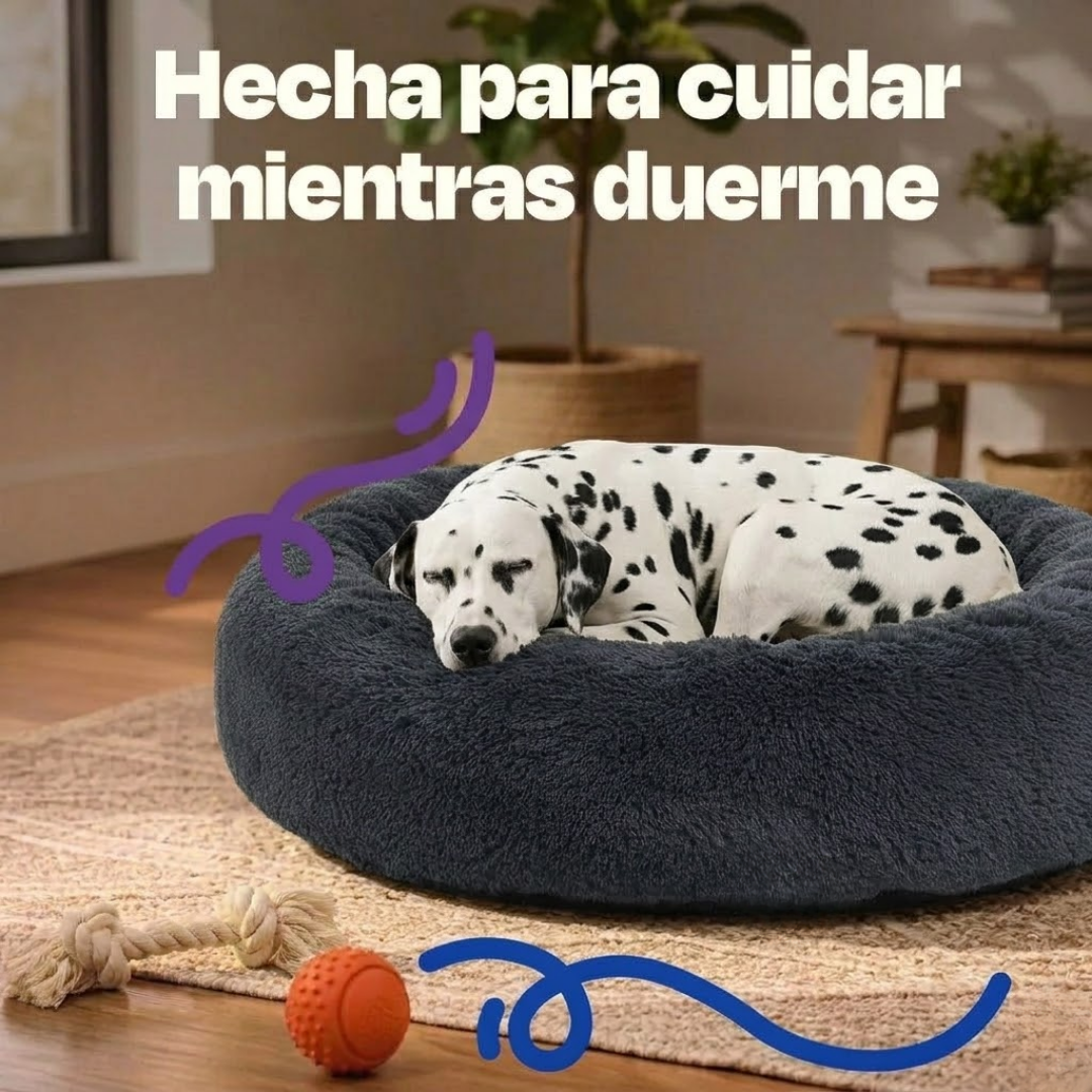 Cama Ortopédica Anti Estrés